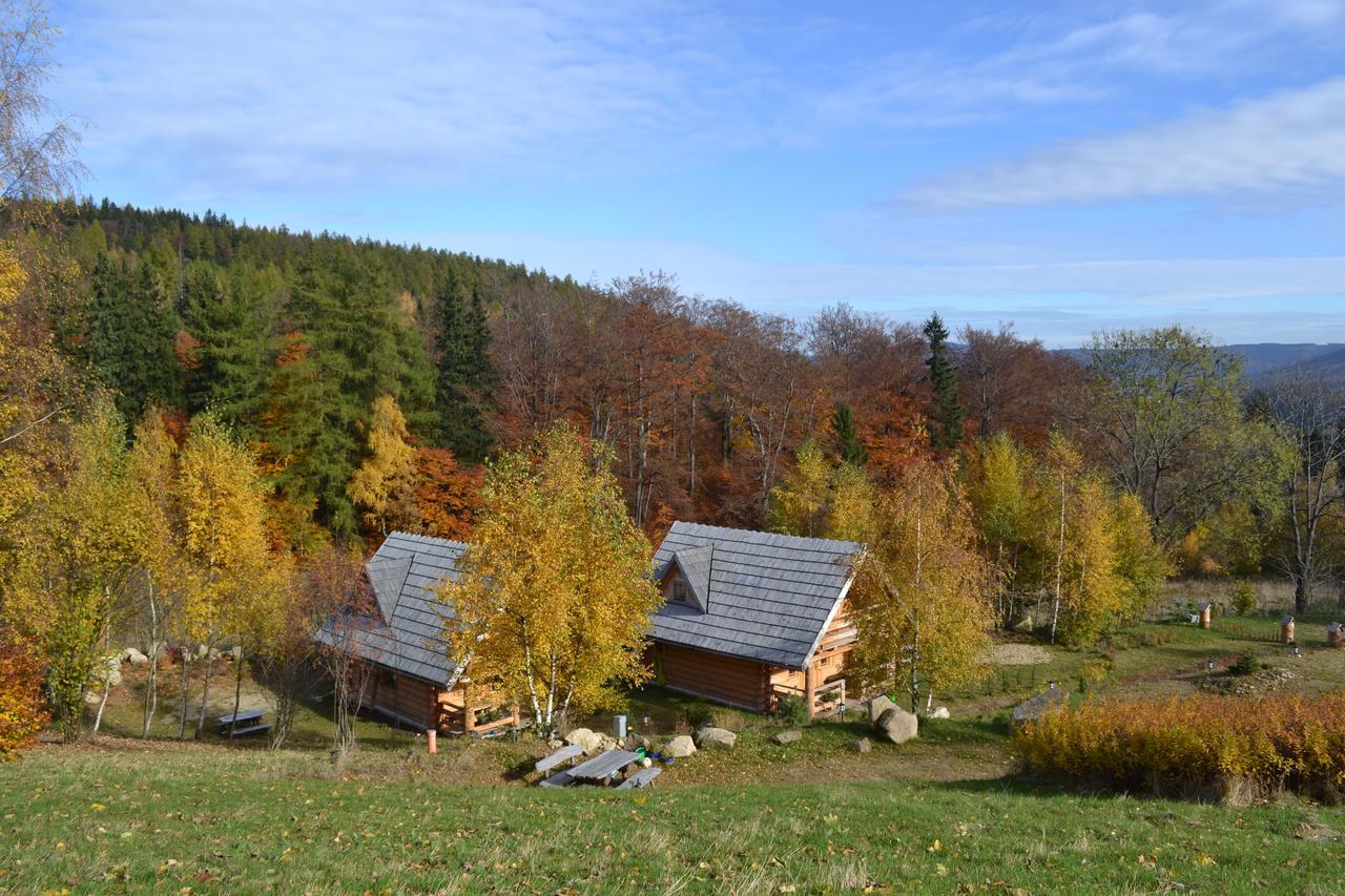 Lesniowka W Karpaczu